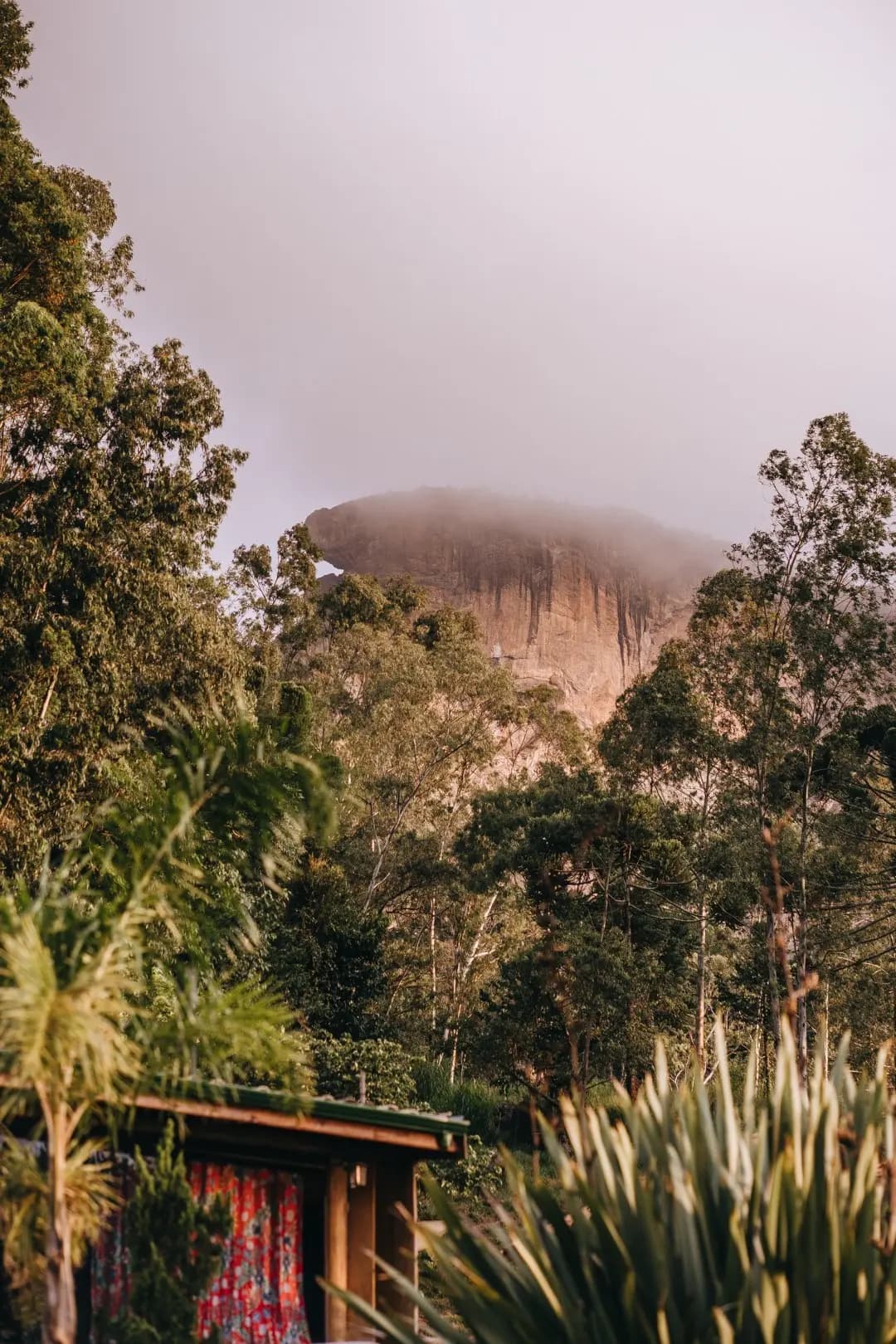Pedra do Baú encoberta pela neblina, vista por entre as árvores acima do telhado de um chalé