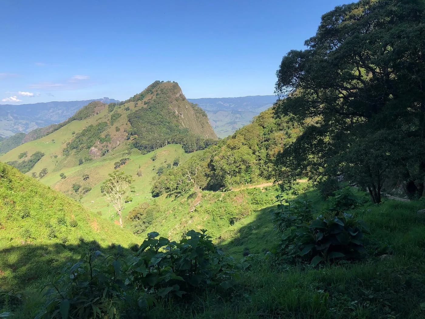 Cume pontiagudo da Pedra da Balança sobre a crista verde, emoldurado pela mata em primeiro plano